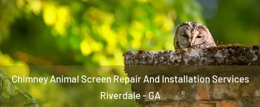  Chimney Animal Screen Repair And Installation Services Riverdale - GA