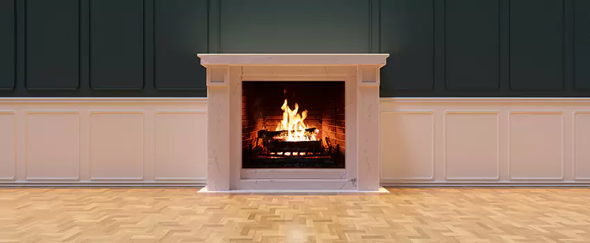 Napoleon Electric Fireplaces Inspection Service in Riverdale, Georgia