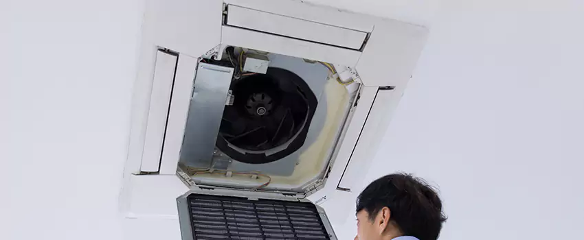 Benefits of Professional Air Duct Cleaning in Riverdale, Georgia