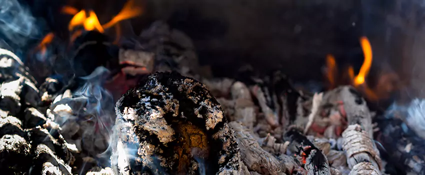 Creosote Removal Experts in Riverdale, GA